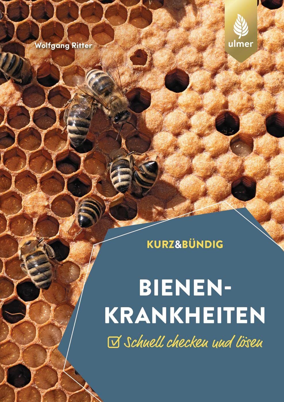 Bienenkrankheiten Schnell Checken Und L Sen Krankheiten