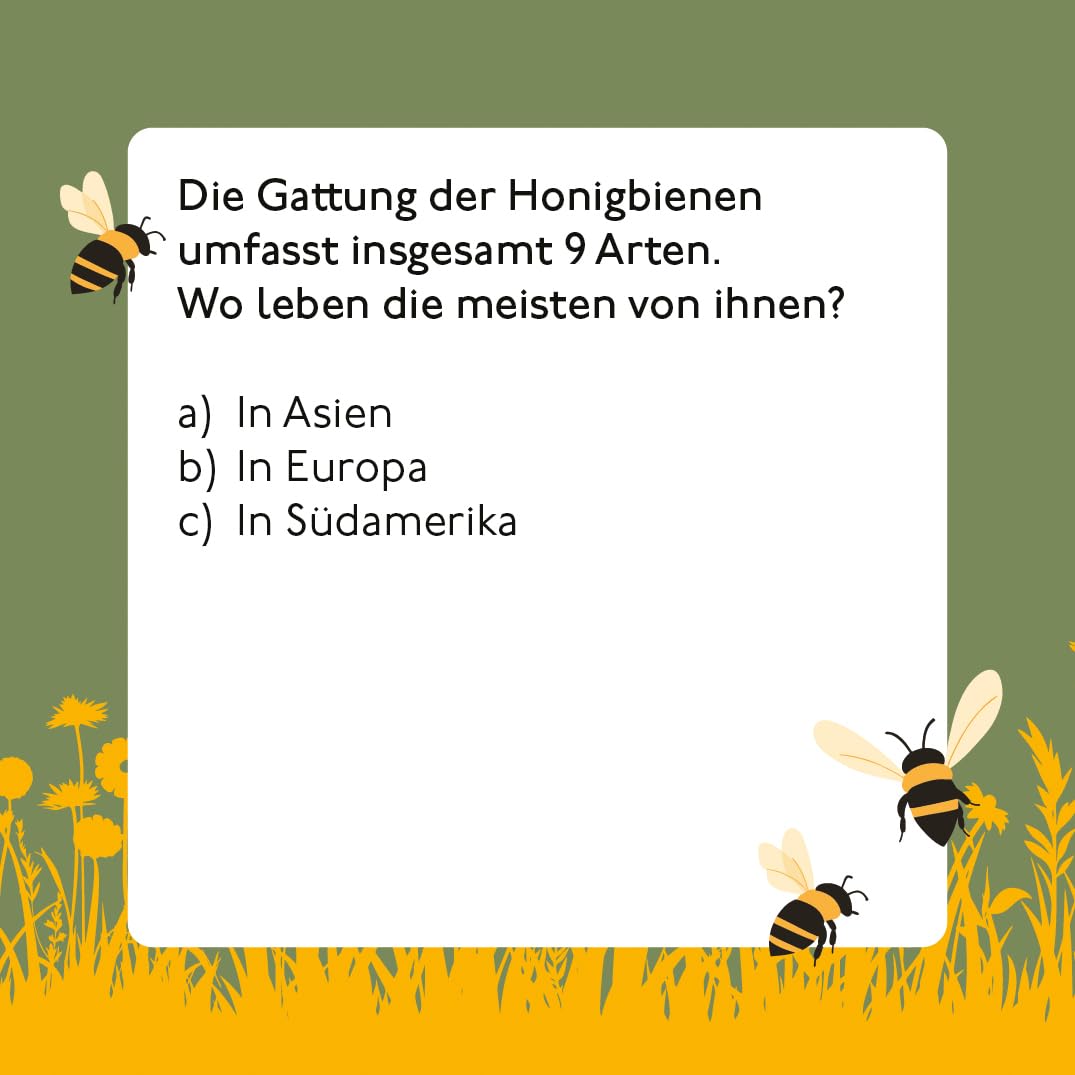 Bienen Quiz