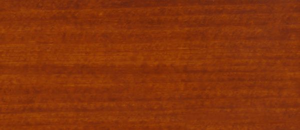 ApiDana® Beutenschutz-Lasur