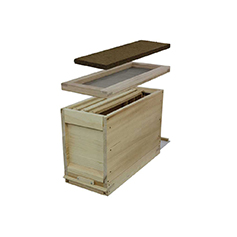 Holz Ablegerkästen