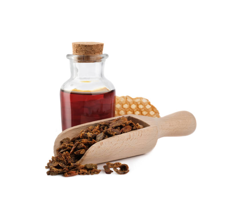 Propolis ernten