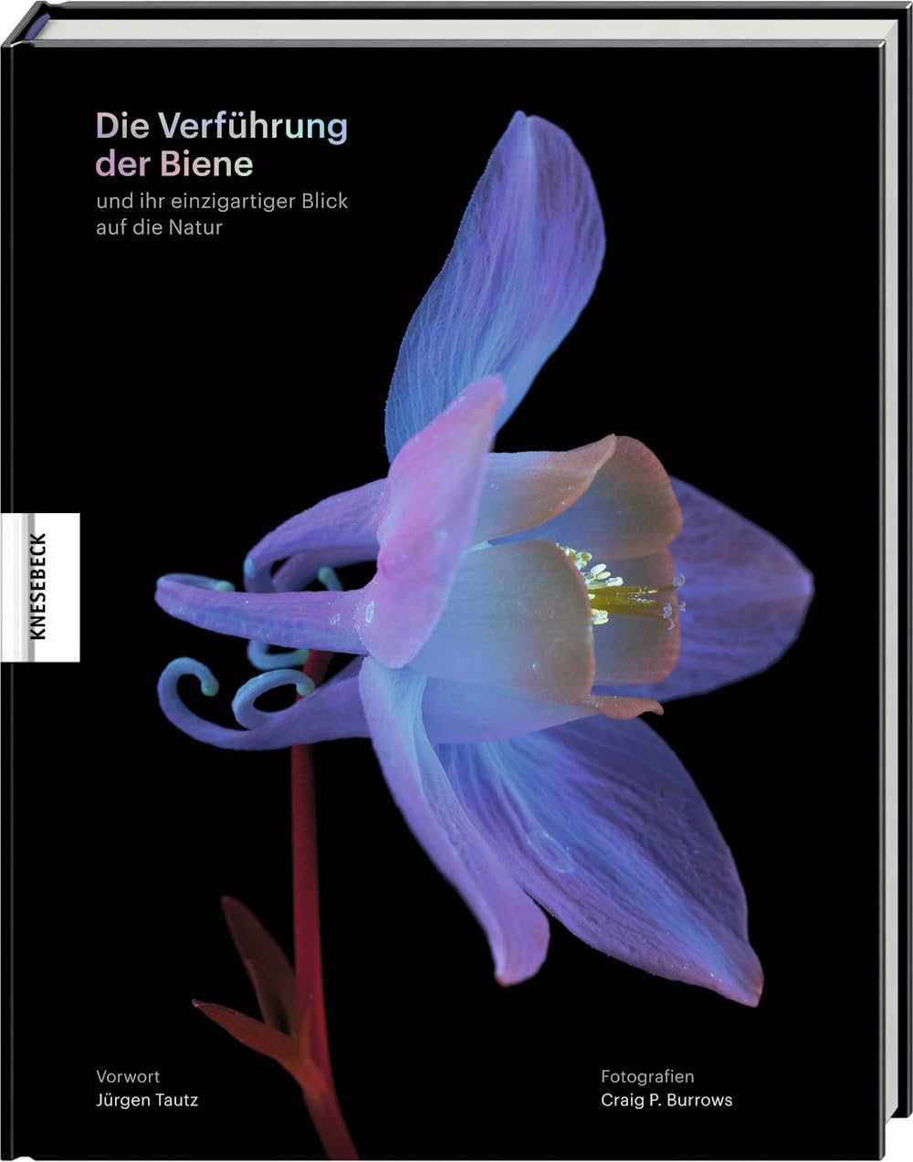 Die Verführung der Biene und ihr einzigartiger Blick auf die Natur