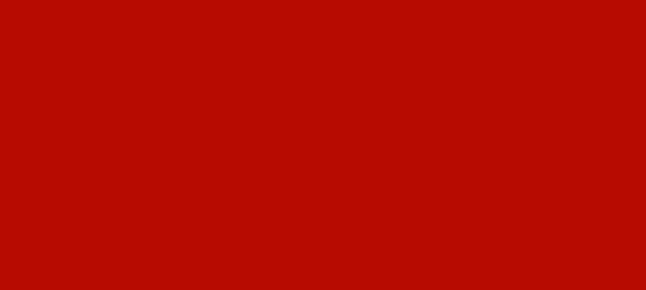 ApiDana® Beutenschutz-Lack
