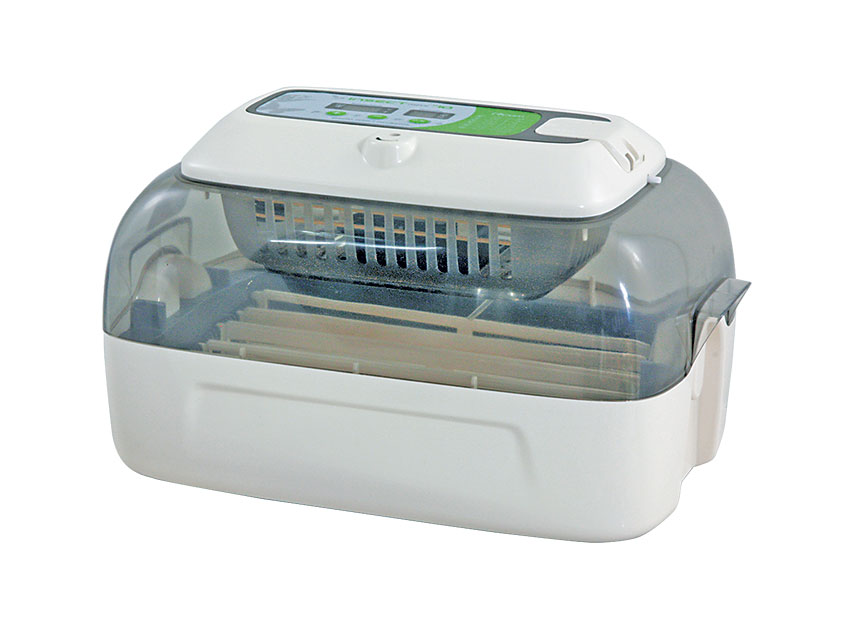 Königinnen Brutbox