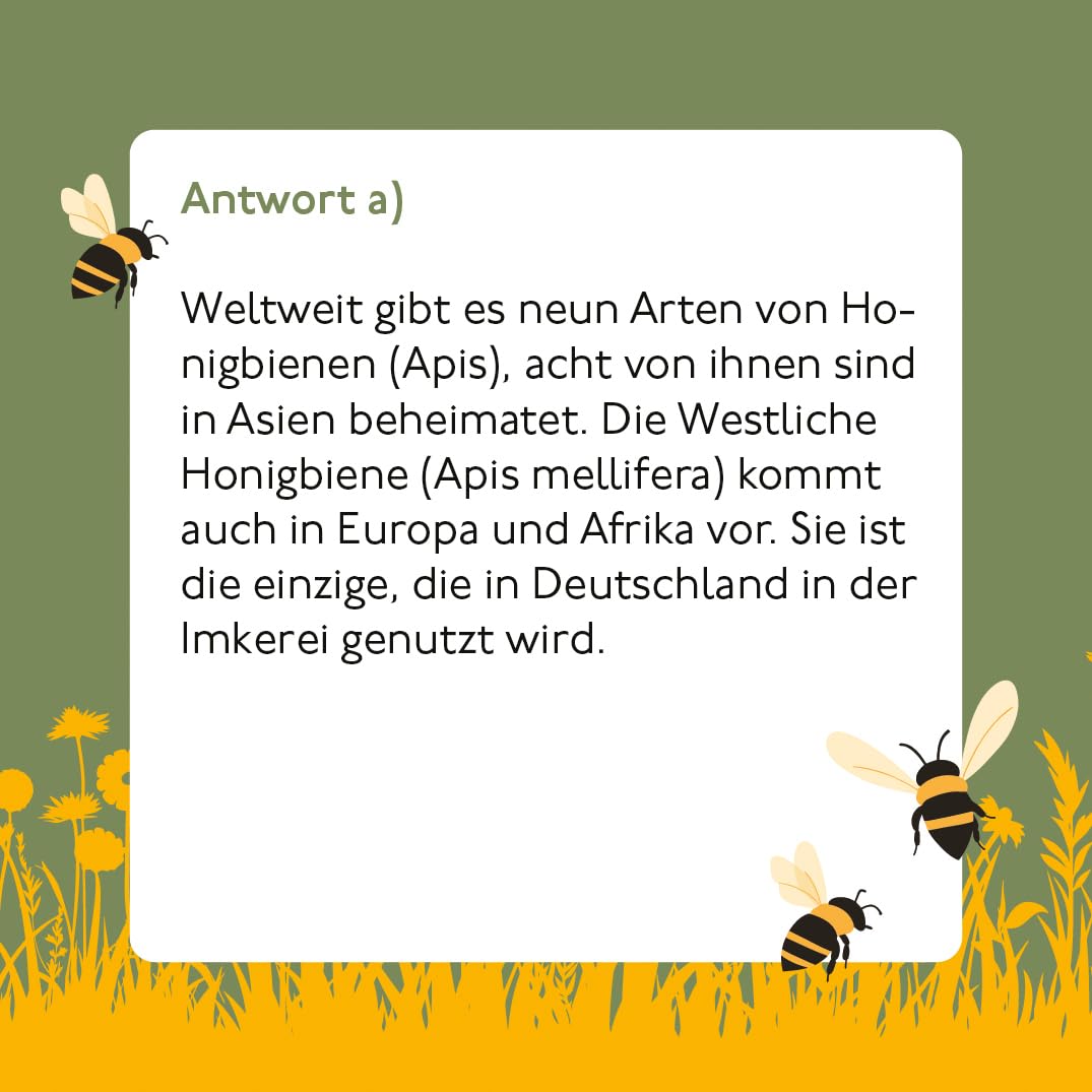 Bienen Quiz