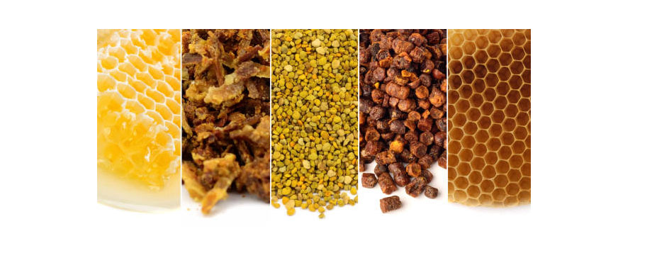 Bienenprodukte
