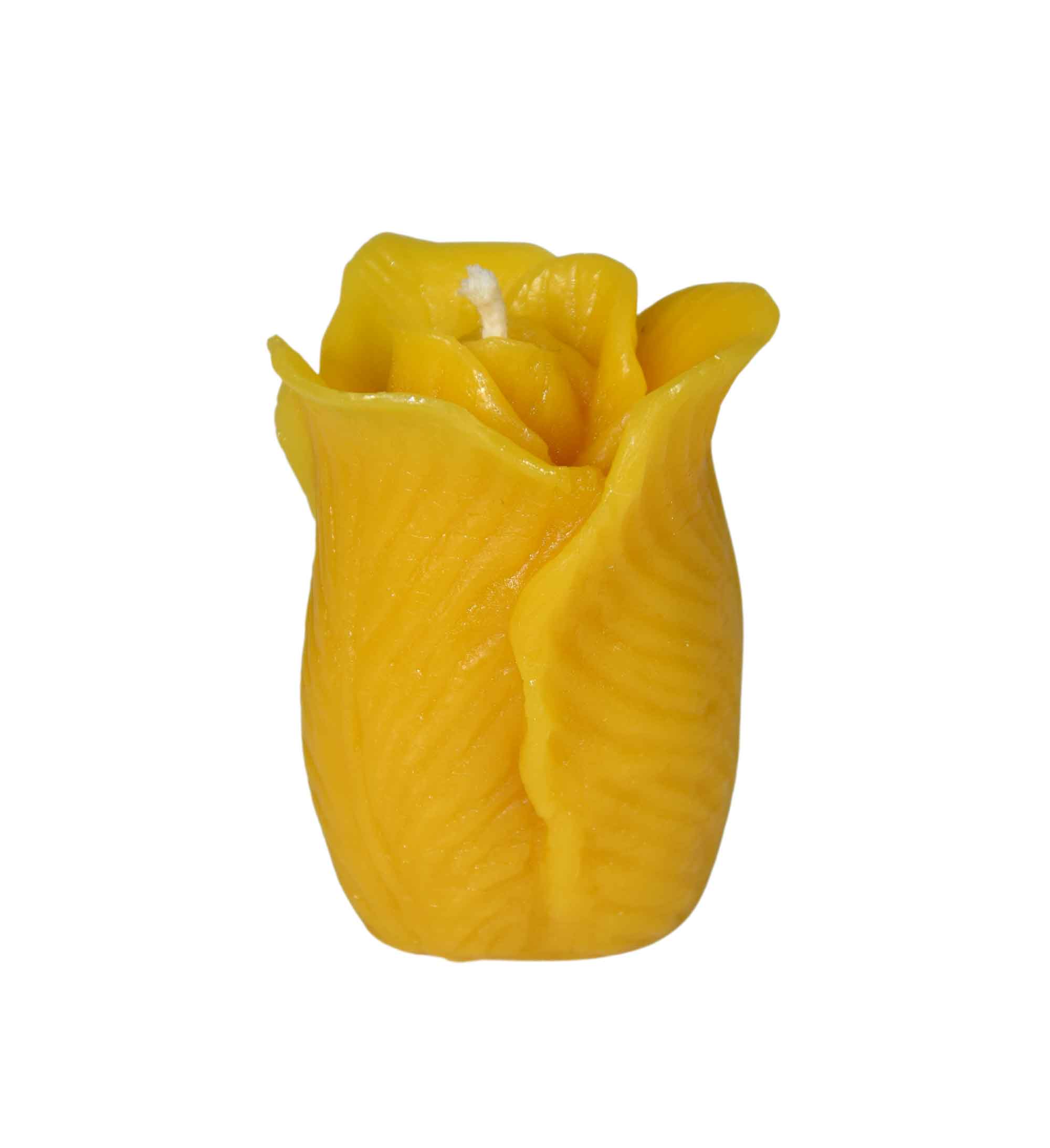Gießform Tulpe