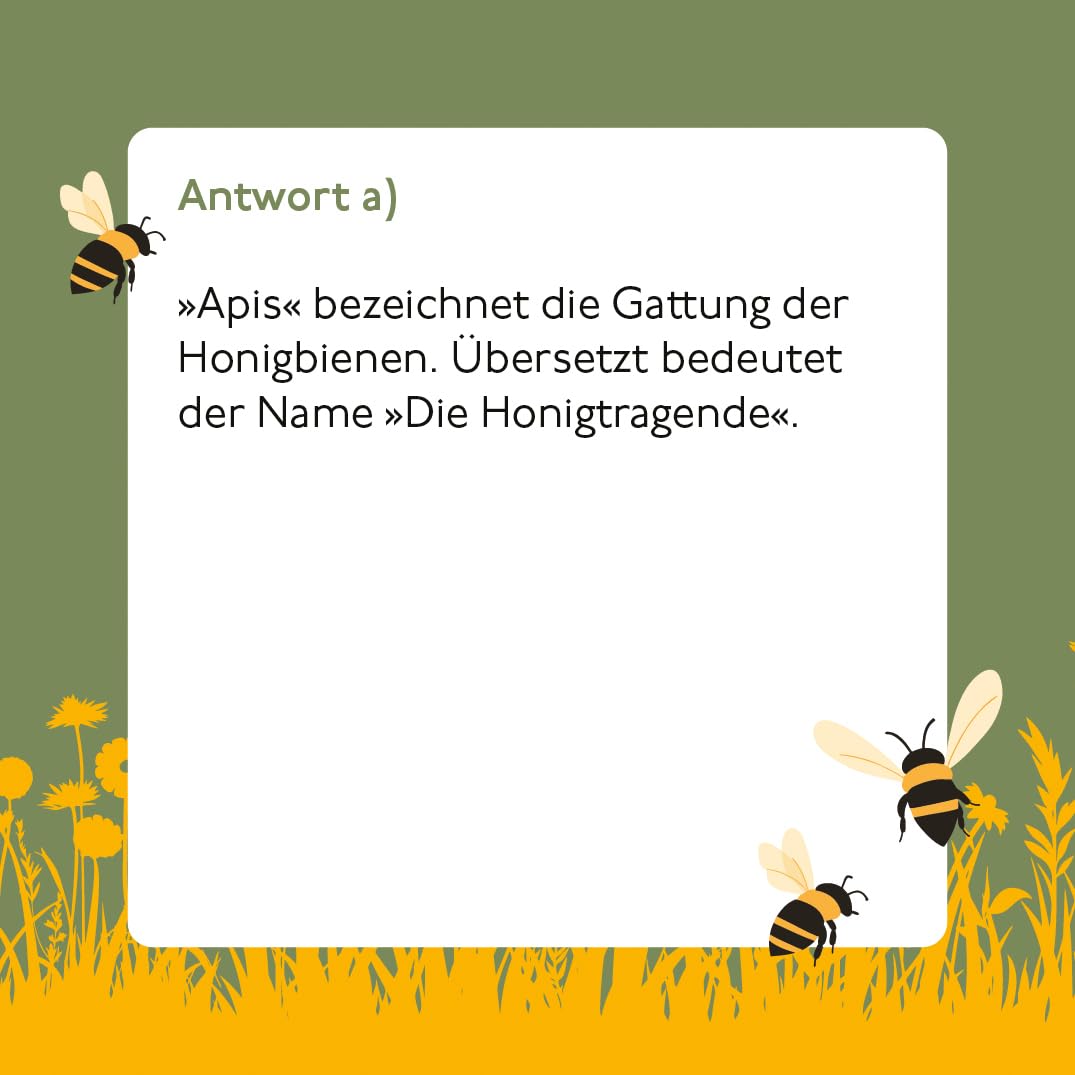 Bienen Quiz