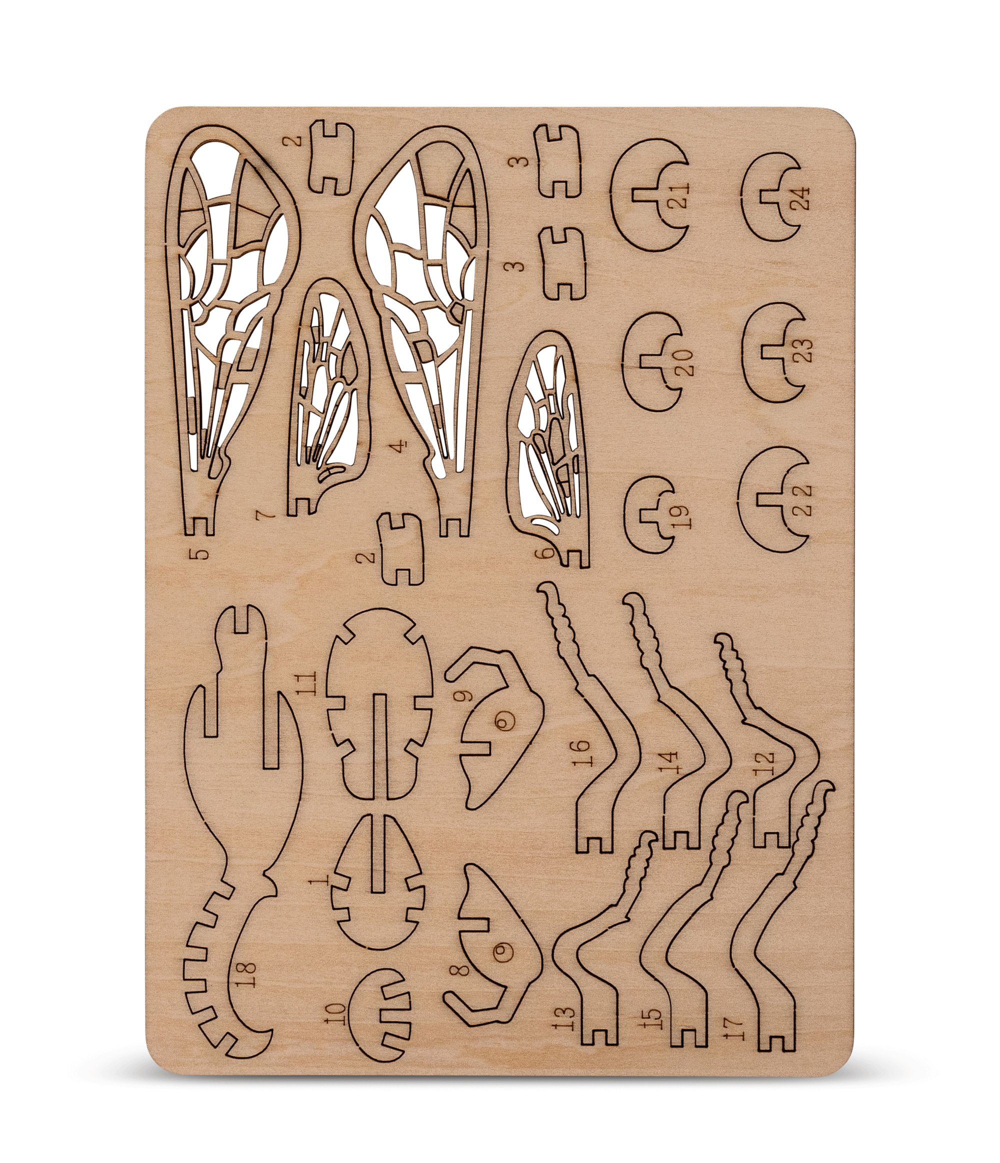 Biene 3D Holzmodell