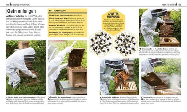 Das Bienenbuch