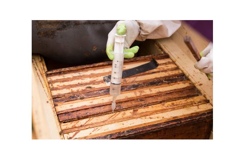 Varroa & Reinigung