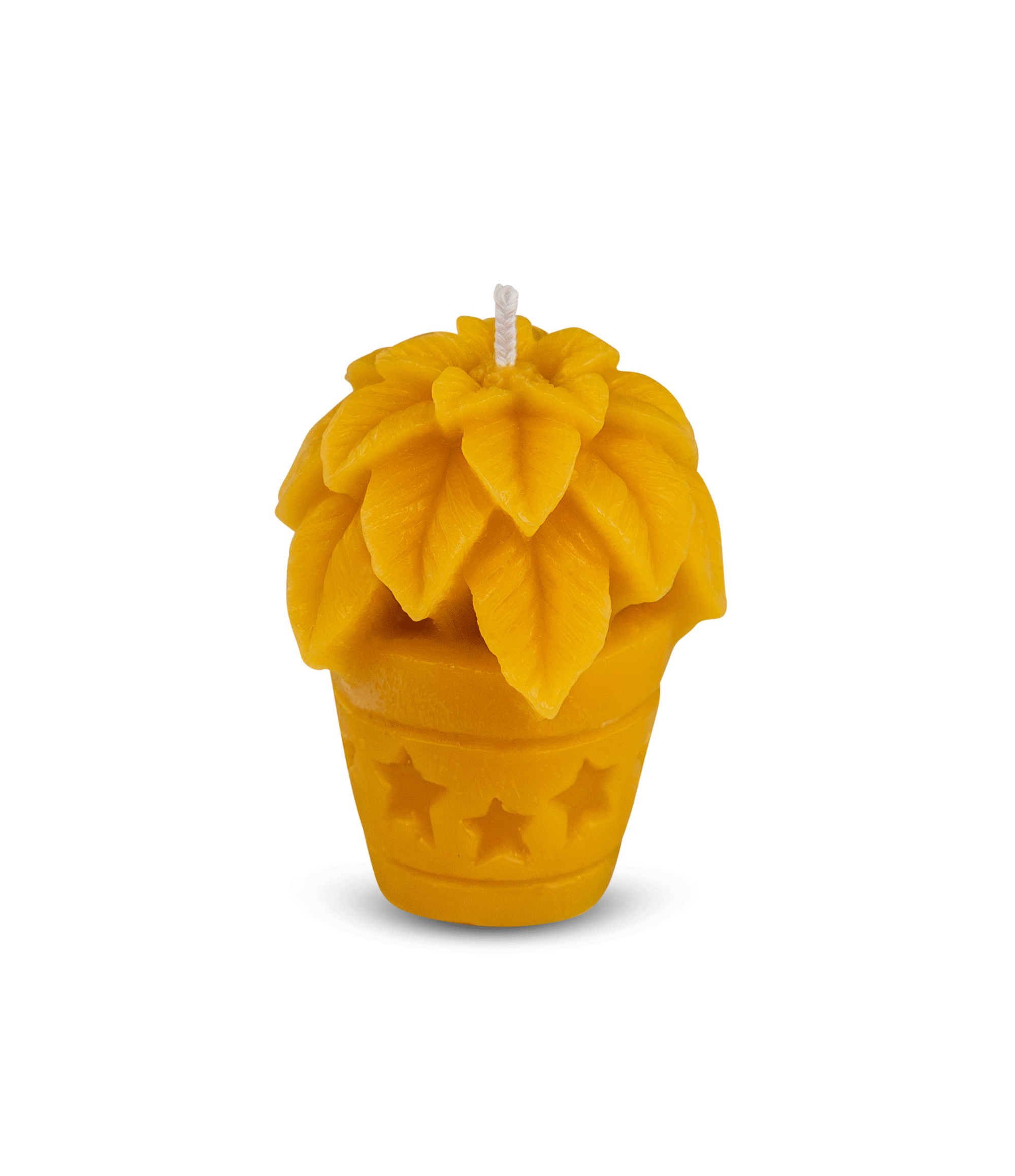 Gießform "Weihnachtsstern im Topf"