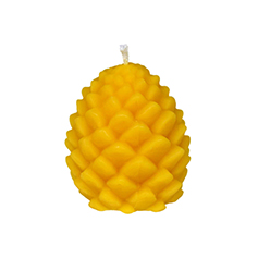 Zapfen
