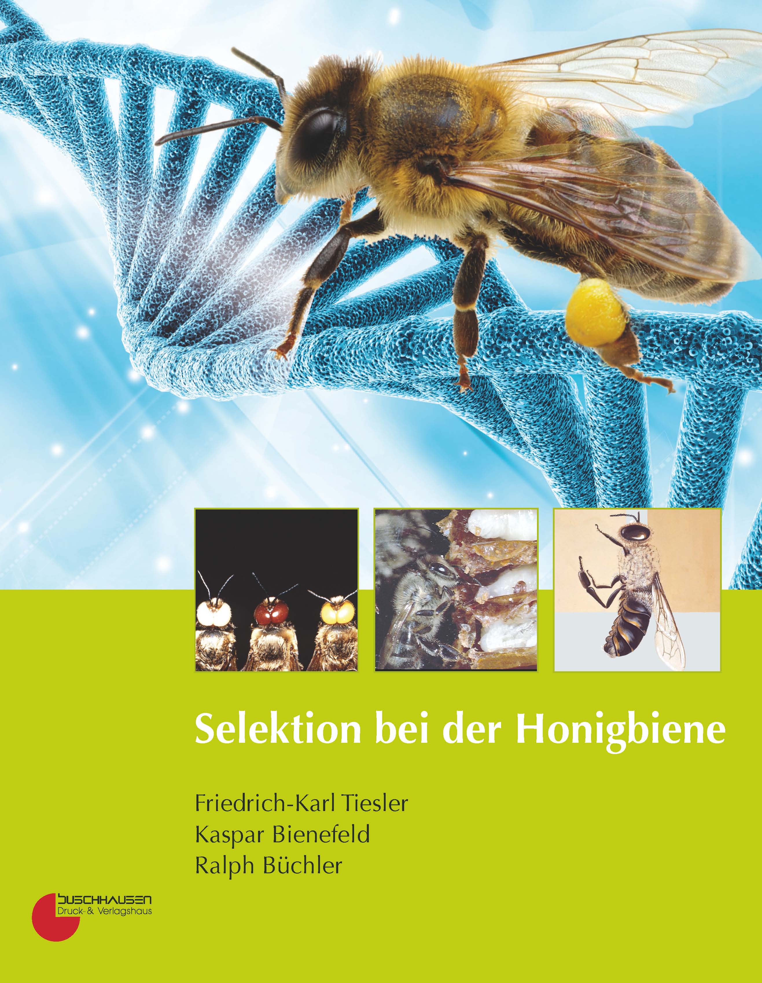 Selektion bei der Honigbiene