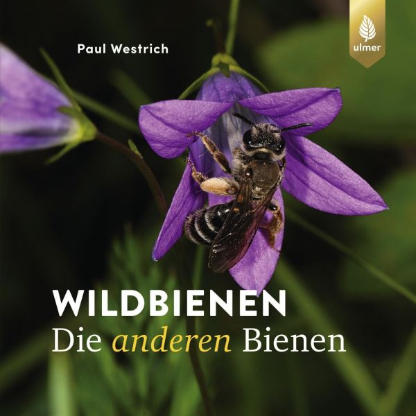 Wildbienen, die anderen Bienen