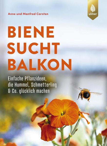 Biene sucht Balkon